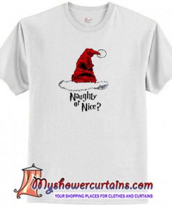 Hat Harry Potter Christmas T-Shirt (AT)