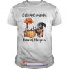 Dachshund its the most wonderful time of the year shirt SN