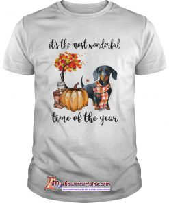 Dachshund its the most wonderful time of the year shirt SN
