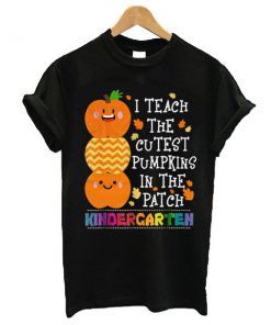 I teach the cutest pumpkins in the patch Kindergarten t shirt RF02