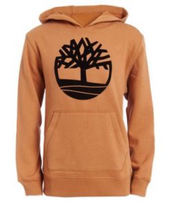 Timberland hoodie RF02