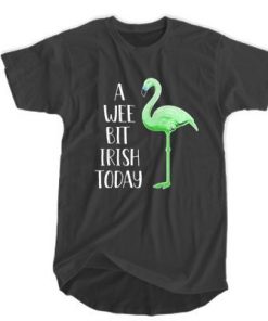 Flamingo - A Wee Bit Irish Today t shirt RF02