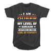 I am Queer my level of sarcasm depends on your level of stupidity t shirt RF02