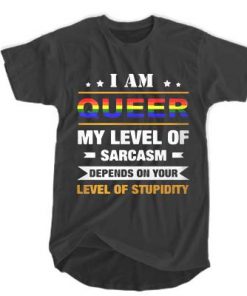 I am Queer my level of sarcasm depends on your level of stupidity t shirt RF02