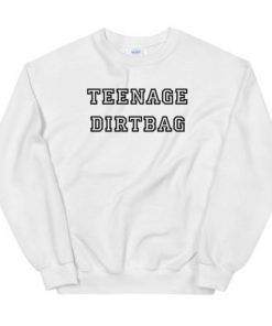 Teenage Dirtbag sweatshirt RF02