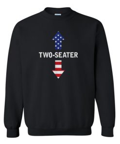 Two Seater USA Sweatshirt AI
