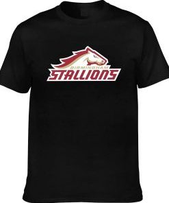 Birmingham Stallion black T-shirt AI