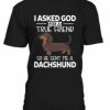 Dachshund T-shirt AI