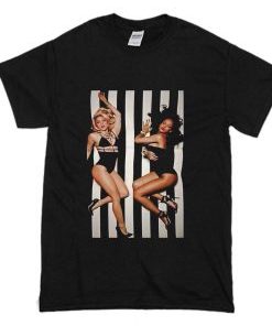 Shakira & Rihanna – Can’t Remember to Forget You T Shirt AI